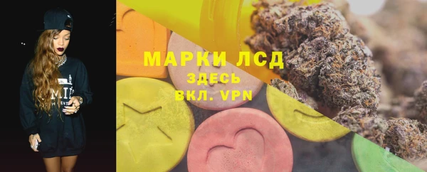 ECSTASY Богданович